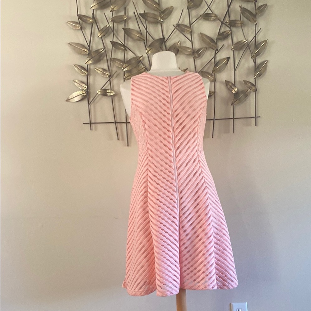 Spenser Jeremy Pink Sleeveless A-Line Mini Dress